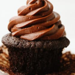 chocolatecupcakes-1-250x250.jpg