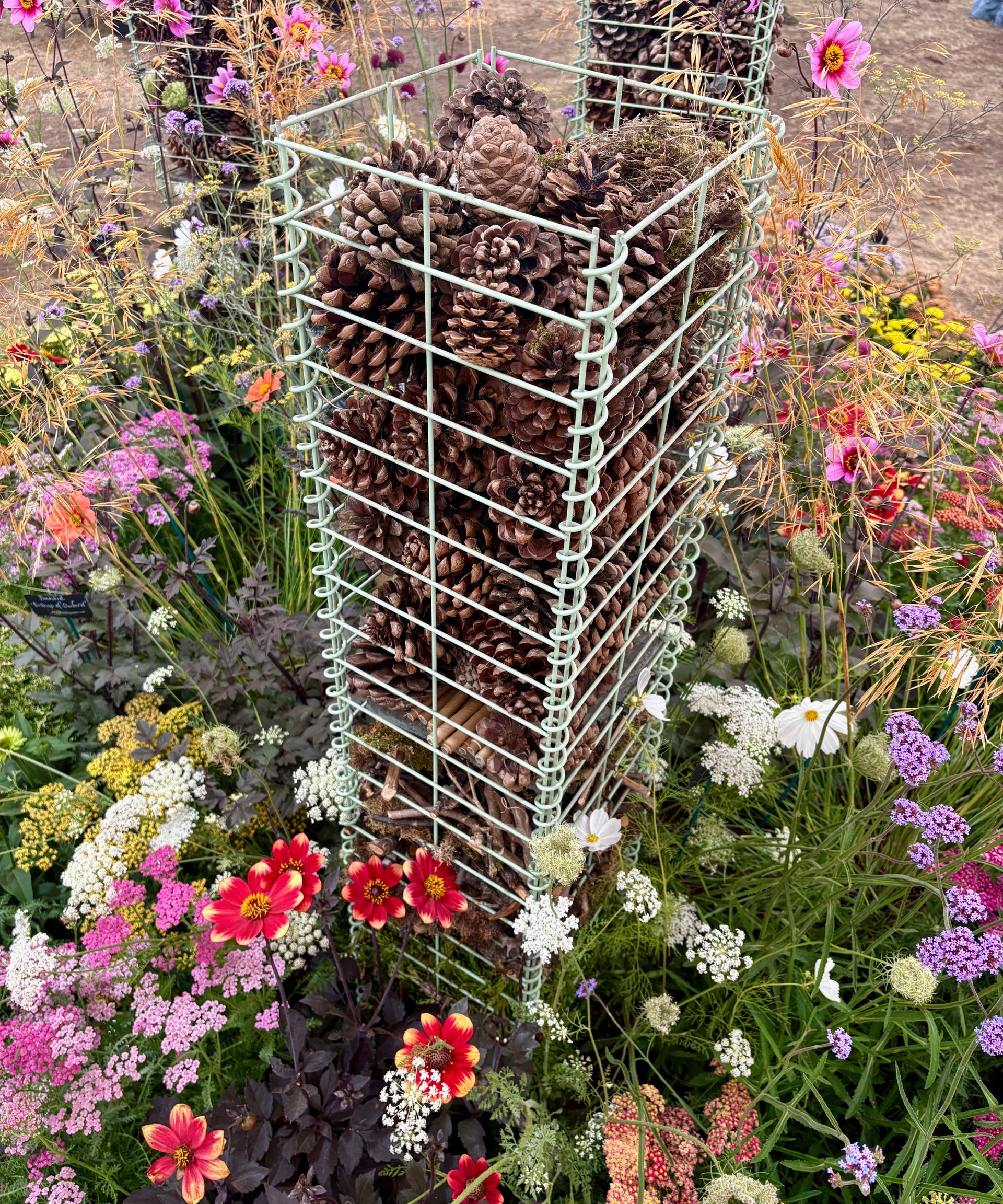 bug hotel made with gabion basket and pinecones