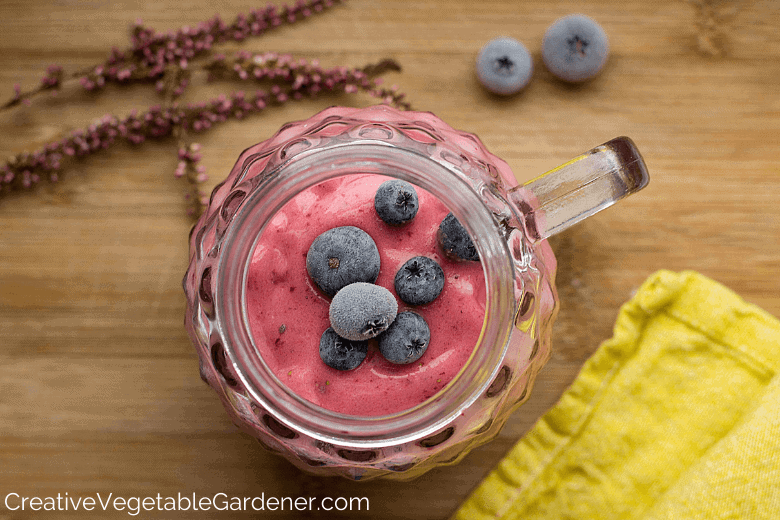 fresh fruit smoothie