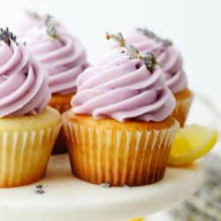 lavendercupcakes-2-250x250.jpg