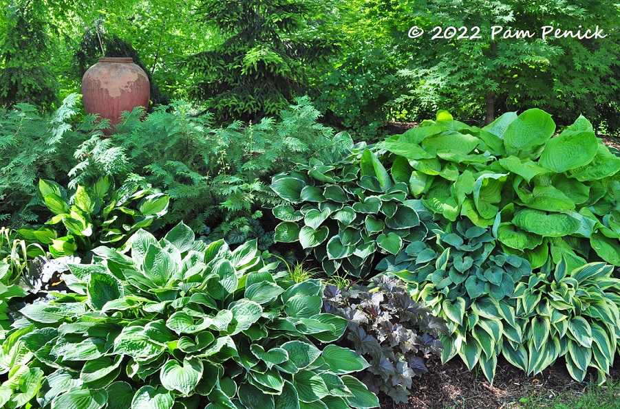 02_Hostas_Glazed_pot.jpg