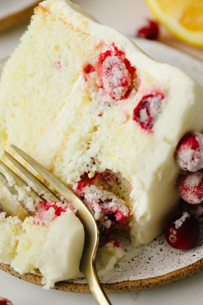 Closeup of cranberry Christmas cake slice.