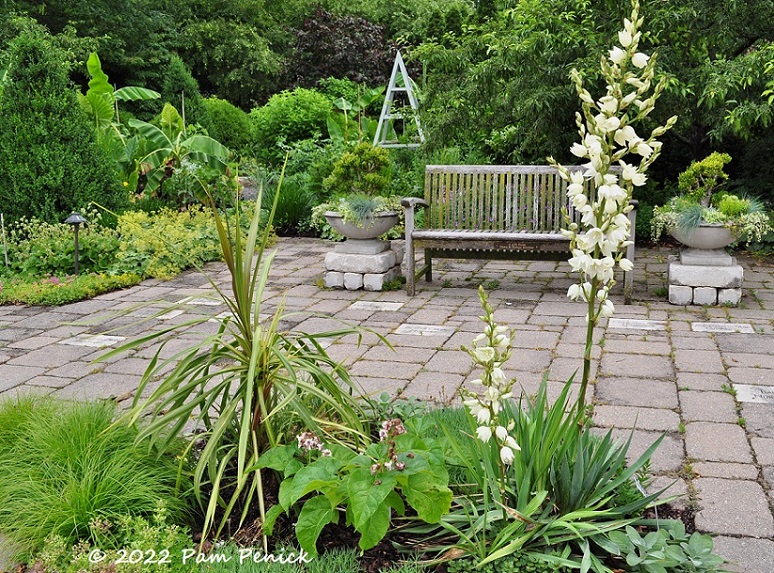 06_Adams_needle_yucca_Bench.jpg