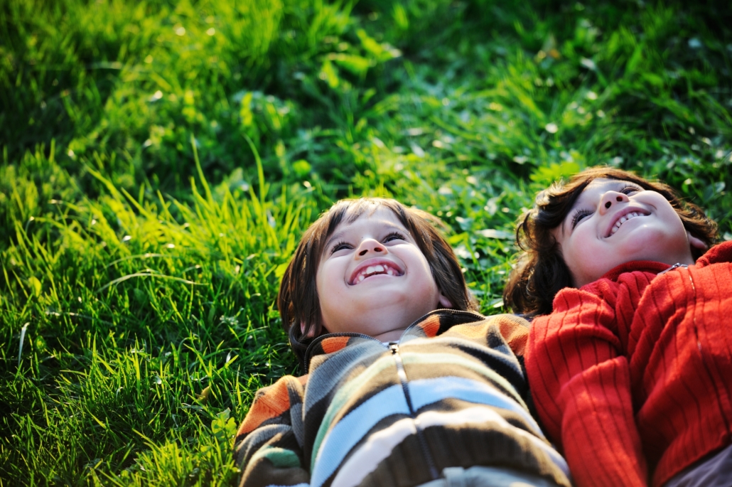 Winterize-Your-Lawn-Image-7-1030x685.jpg