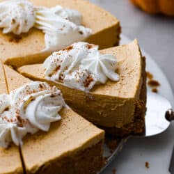 pumpkin_cheesecake-1-250x250.jpg