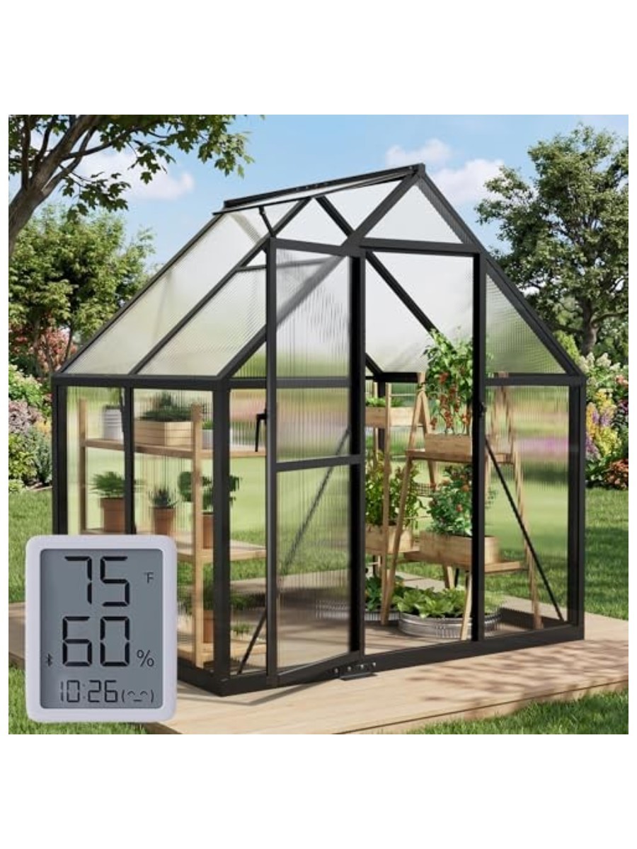 Sylviera, Classic Greenhouse