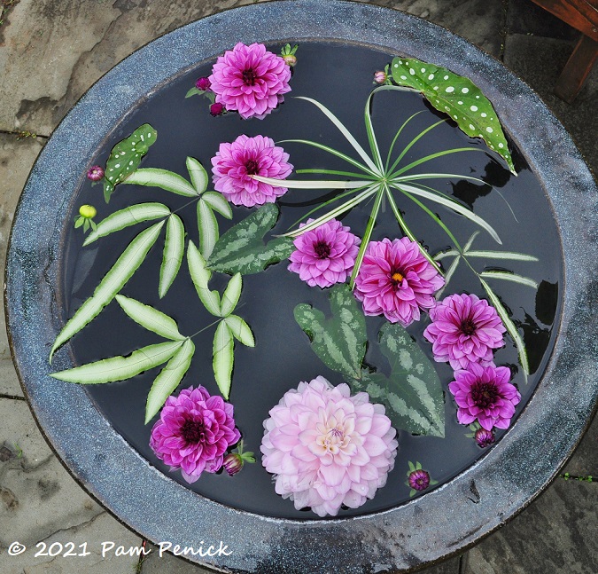 38_Water_bowl_w_flowers.jpg