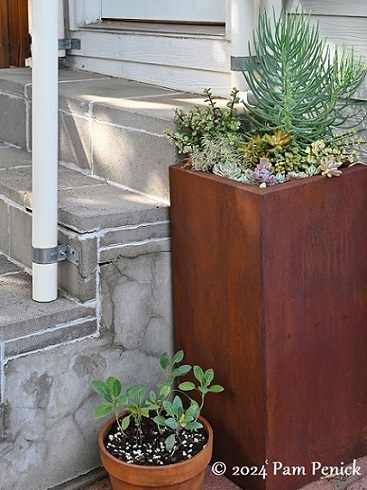 33_Succulent_planter.jpg