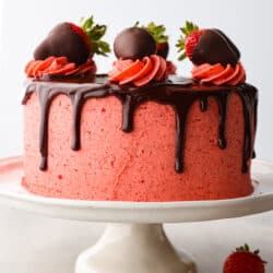 strawberry-chocolate-cake-4-250x250.jpg