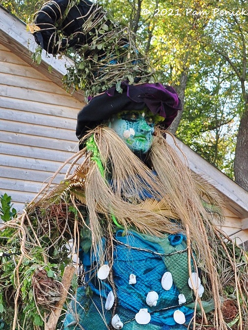 Sea_Witch_DBG.jpg