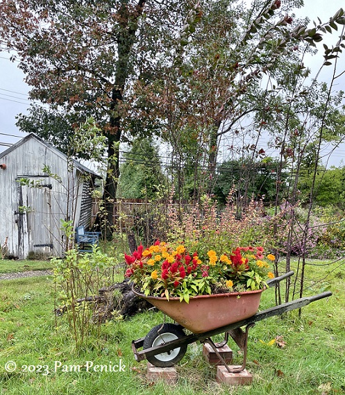 50_Wheelbarrow_planter_Corncrib.jpg