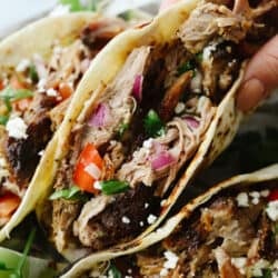 porkcarnitatacos-2-1-250x250.jpg