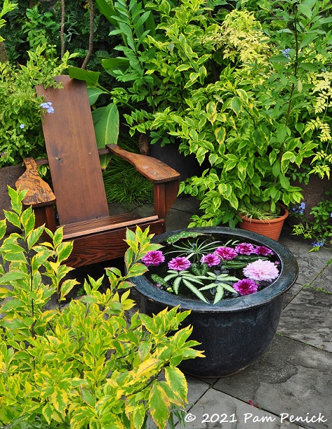 37_Chair_Water_bowl_w_flowers.jpg