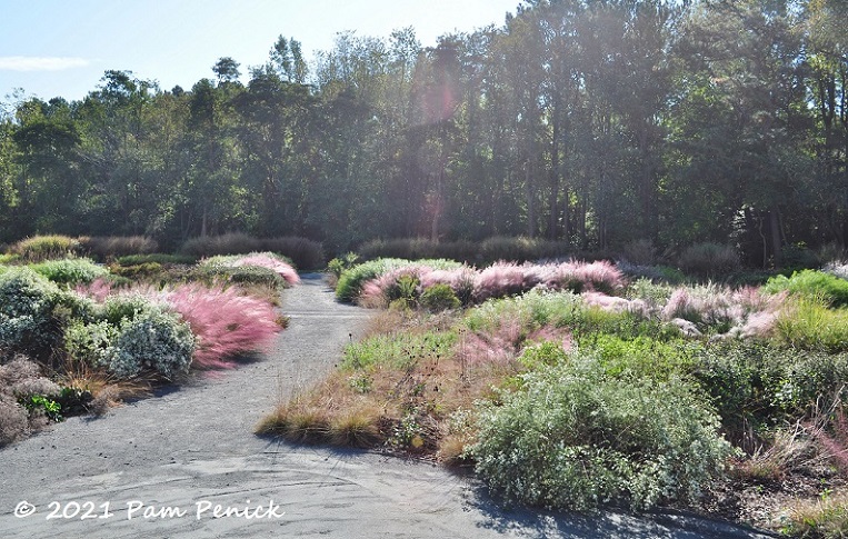 02_Oudolf_meadow_Muhly_grasses.jpg
