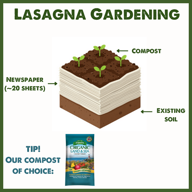 lasagna.png