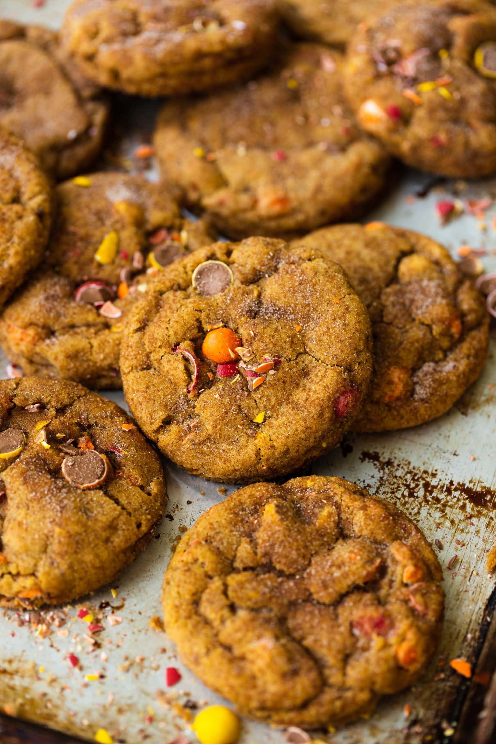 a photo of several chewy pumpkin cookies full of cadbury chocolate bits scattered on a metal baking sheet.