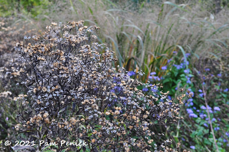 19_Meadow_flowers.jpg