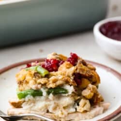 leftover-thanksgiving-casserole--250x250.jpg