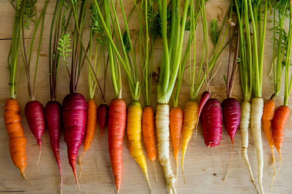 Carrots of color