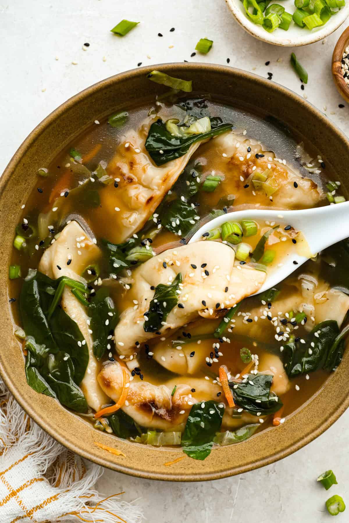 dumpling-soup-1.jpg
