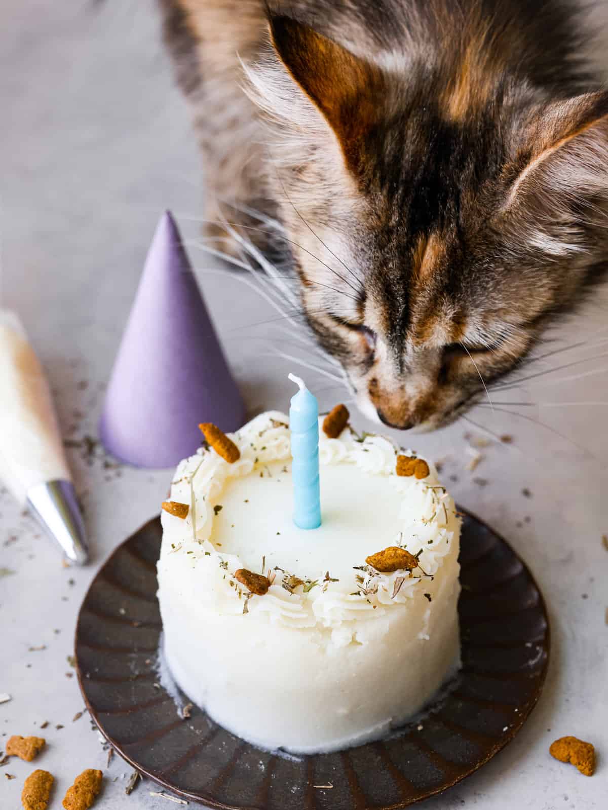 cat-birthday-cake.jpg