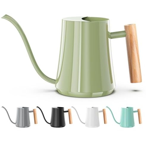 Green Moon 1l/35oz Metal Watering Can Indoor With Long Spout, Sage Green