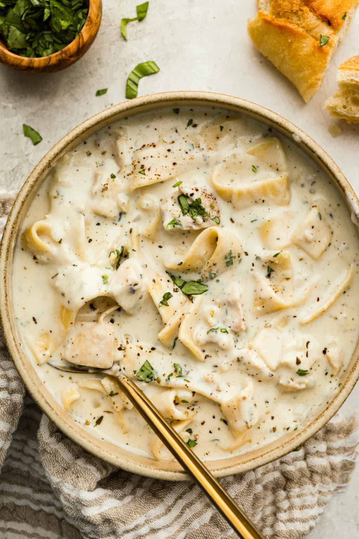 Serving of chicken Alfredo soup in a bowl. 