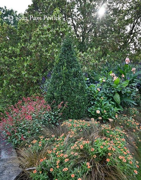 14_Peachy_flower_garden.jpg