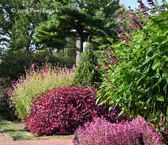 24_Pink_flowers.jpg