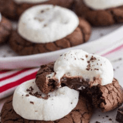 Hot-Cocoa-Cookies-2-250x250.png