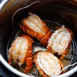 instant-pot-lobster--250x250.jpg