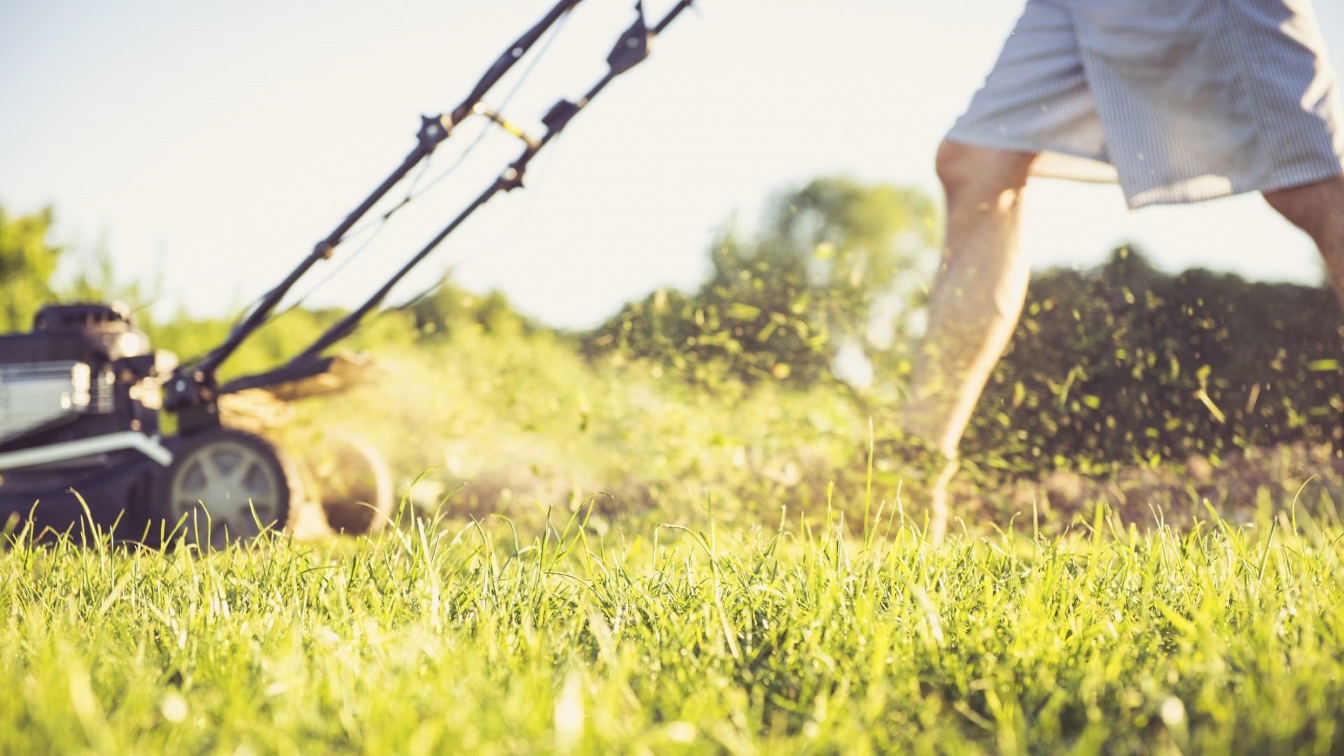Greenworks vs Ryobi: image of man mowing grass