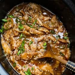 slow-cooker-korean-chicken-1-250x250.jpg
