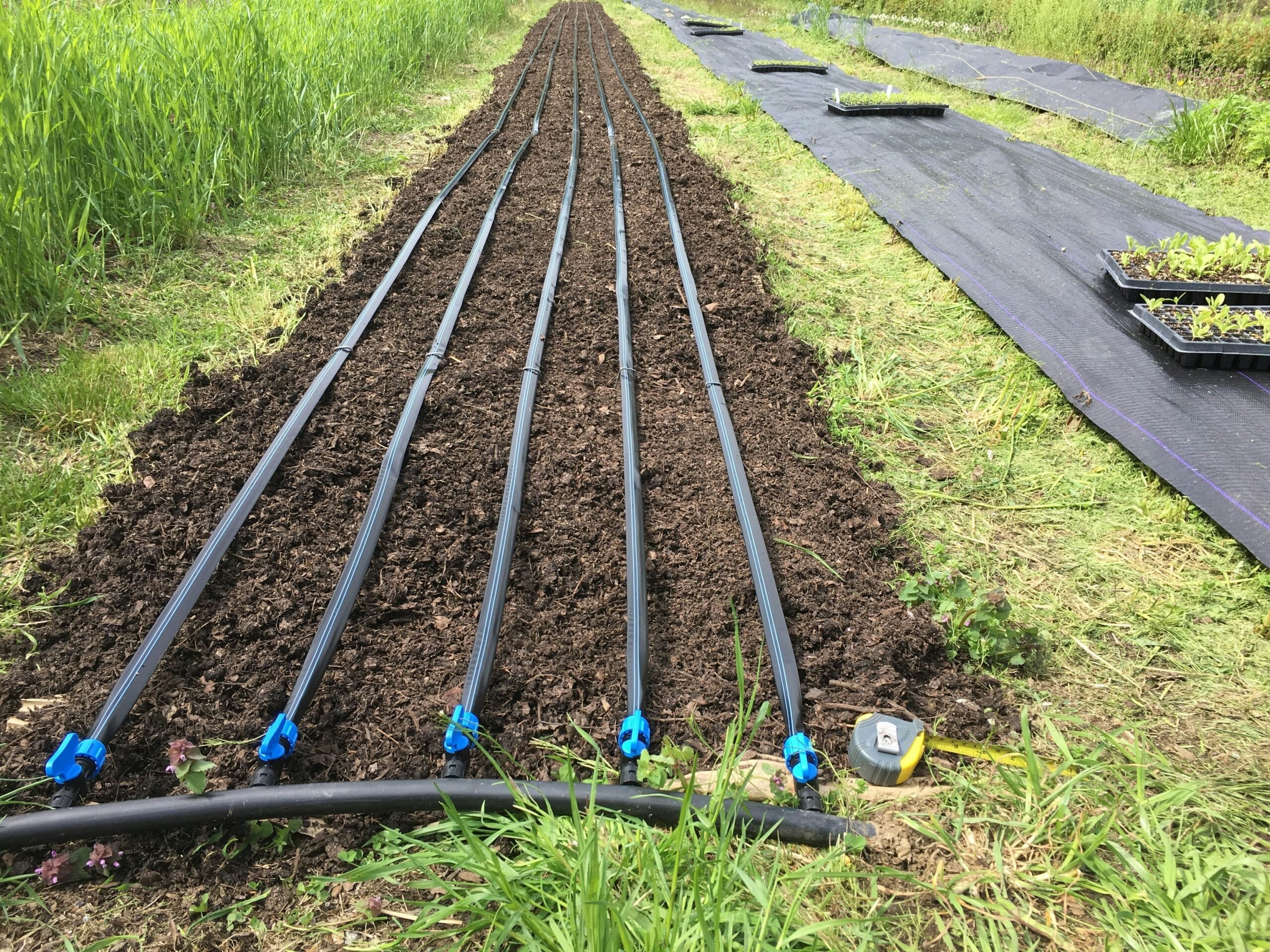 No-Till Farming Lessons Learned at Love 'n Fresh Flowers in Philadelphia