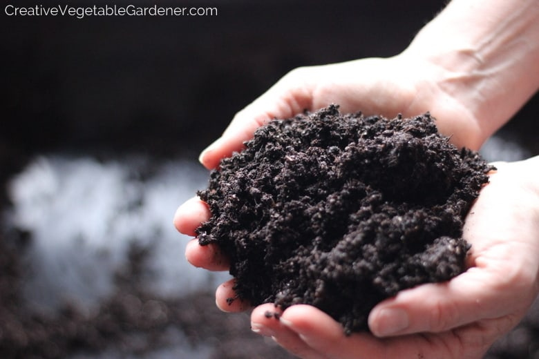 fertilizing your tomato plants