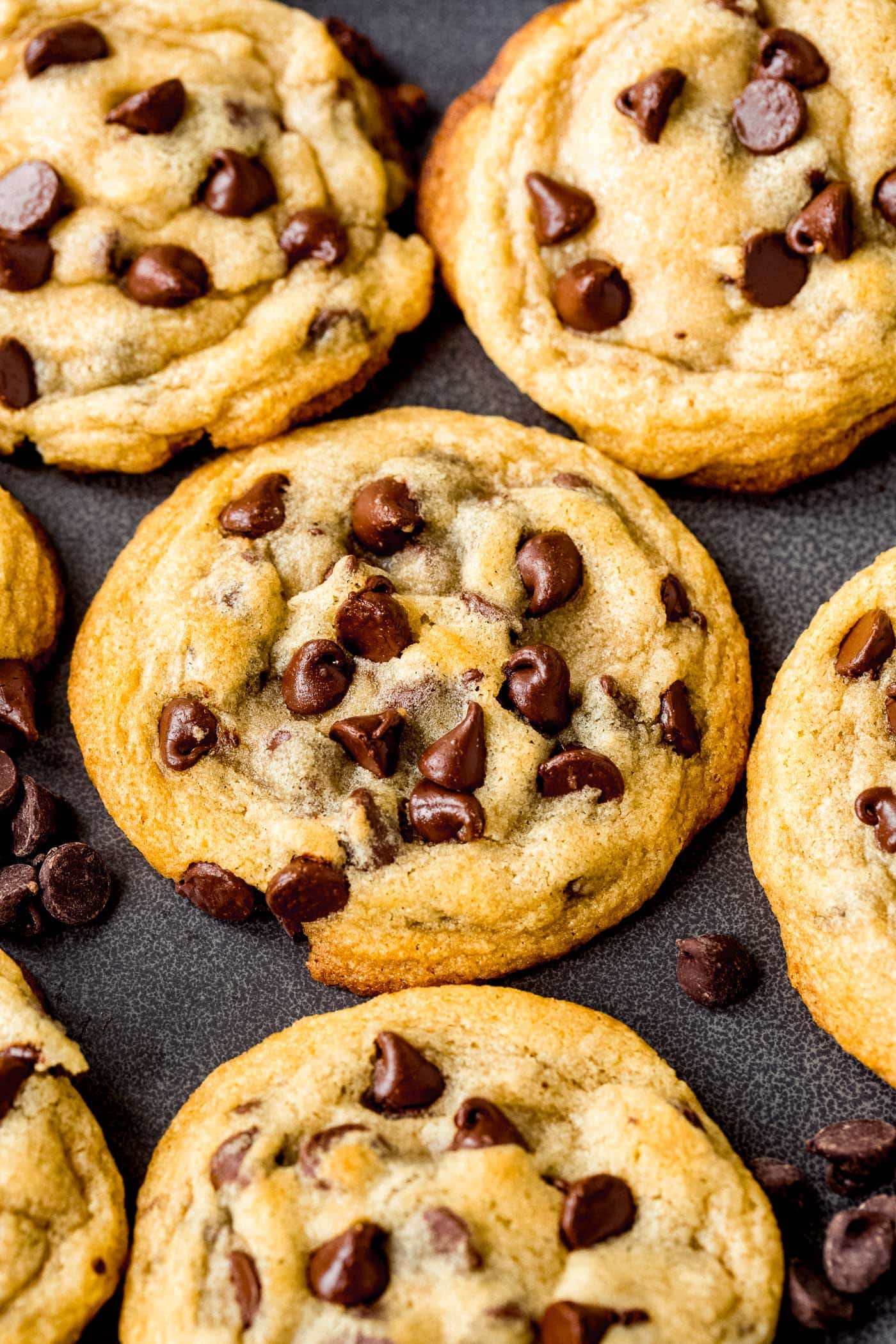A baking pan with baked chocolate chip cookies. They are golden brown and are packed with chocolate chips.