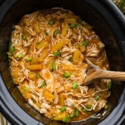 crockpot-hawaiian-chicken-250x250.jpg
