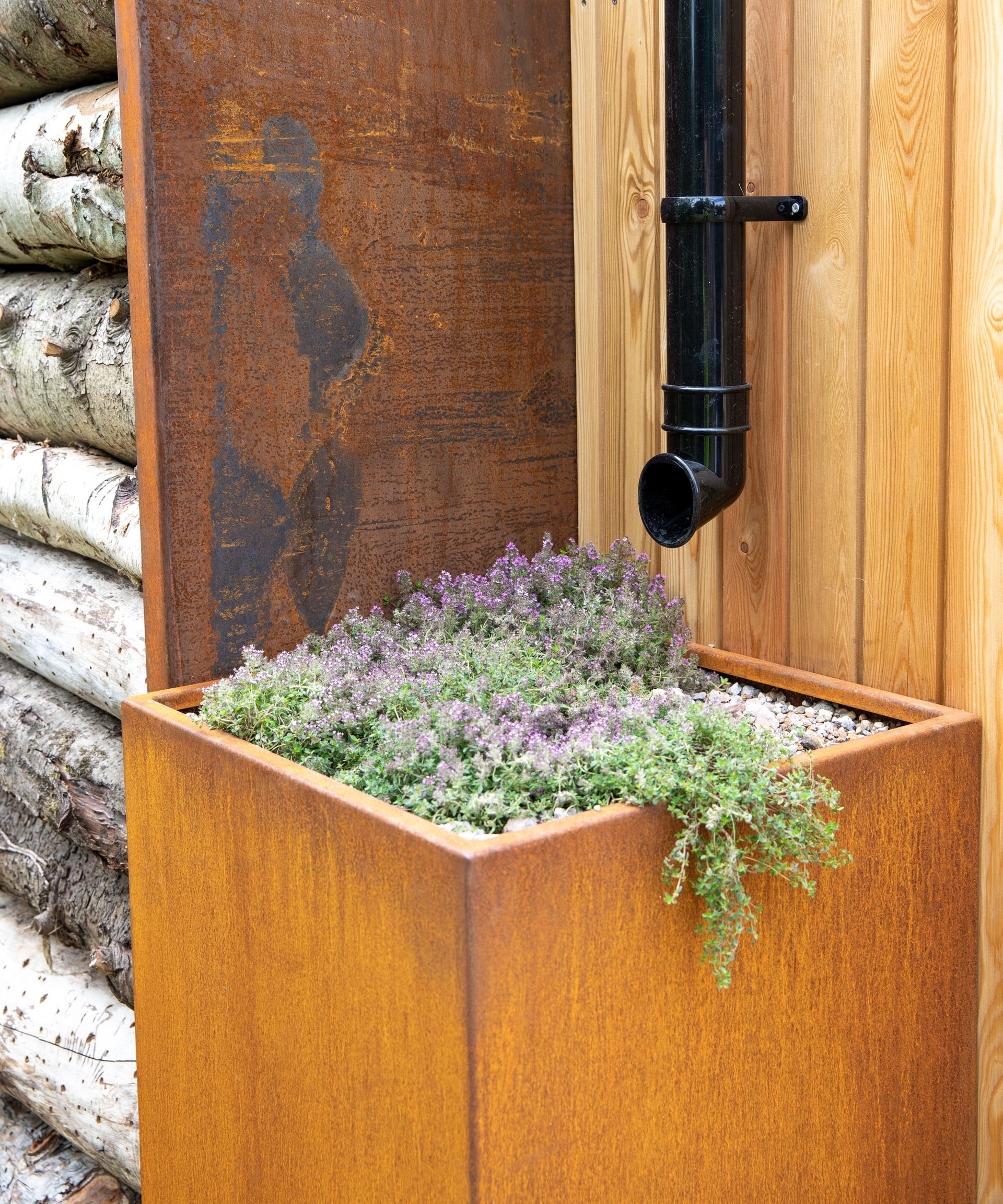 raised bed with resilient planting and gravel, with drainpipe feeding in to it