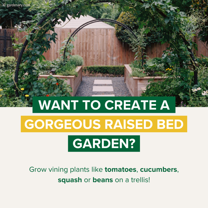 Espoma-Raised-Bed-Garden-3.png