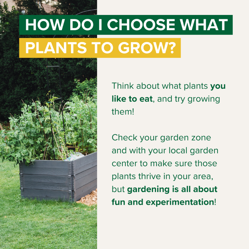 Espoma-Raised-Bed-Garden-5.png