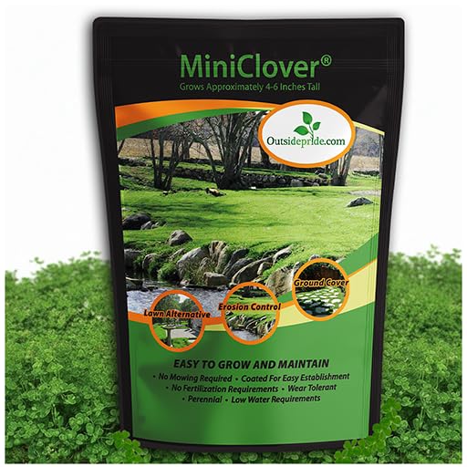 Outsidepride Perennial White Miniclover Seed - 1 Lb. Dwarf, Small-Leaved, Drought & Wear-Tolerant Micro Clover Seeds for Lawn, Ideal Low-Maintenance & Easy to Grow Ground Cover Seeds for Home Yard Outsidepride Perennial White Miniclover Seed - 1 Lb. Dwarf, Small-Leaved, Drought & Wear-Tolerant Micro Clover Seeds for Lawn, Ideal Low-Maintenance & Easy to Grow Ground Cover Seeds for Home Yard