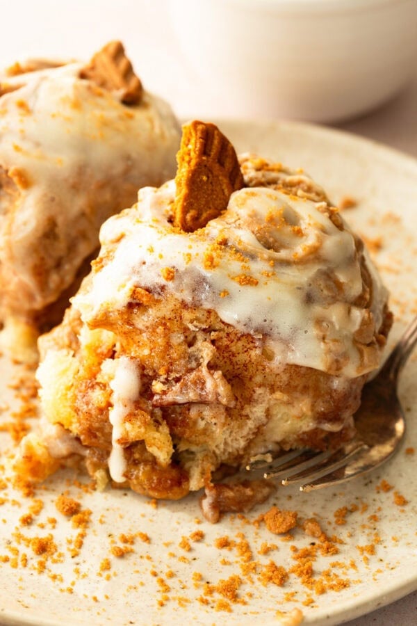Soft Biscoff cinnamon pull apart roll showing the fluffy interior and cinnamon sugar coating Soft Biscoff cinnamon pull apart roll showing the fluffy interior and cinnamon sugar coating