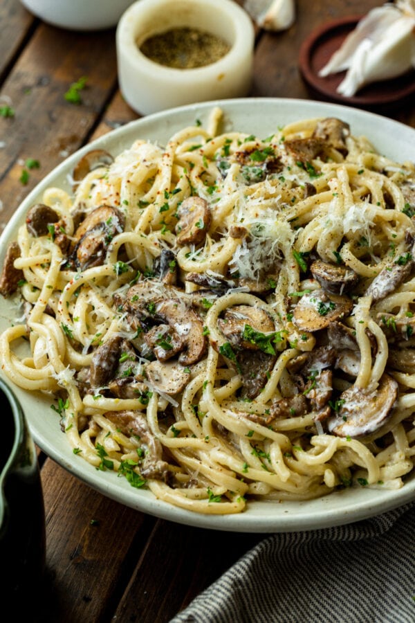 a photo of creamy bucatini pasta tossed with golden caramelized mushrooms and topped with grated parmesan. a photo of creamy bucatini pasta tossed with golden caramelized mushrooms and topped with grated parmesan.