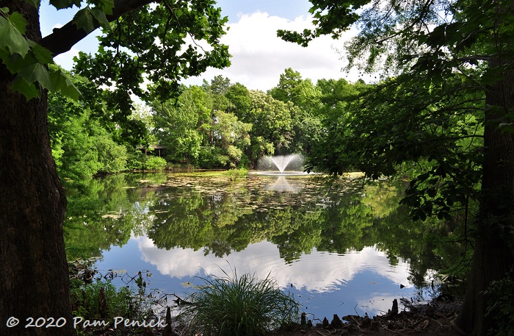 43_Cypress_pond_fountain-1.jpg