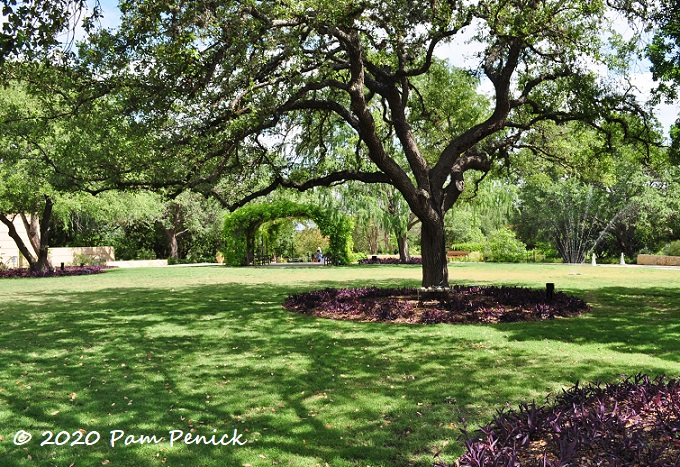 50_Great_lawn_Wisteria_arch-1.jpg